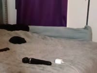 Ebony Goddess ready to fulfill your sensual desires...