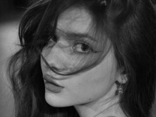 free jasmin webcam VelvetMeow